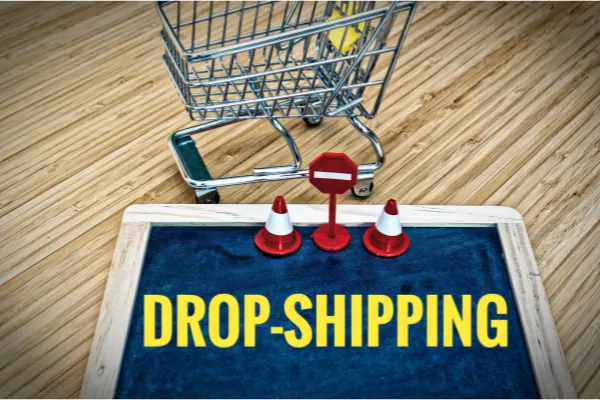 online dropshipping business to earn money in india