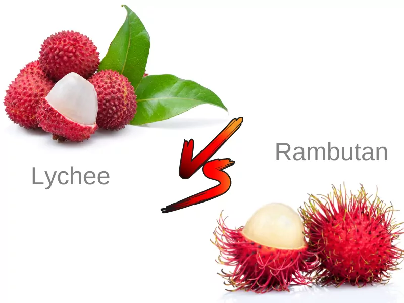 Lychee vs rambutan taste difference