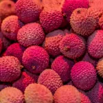 what is lychee