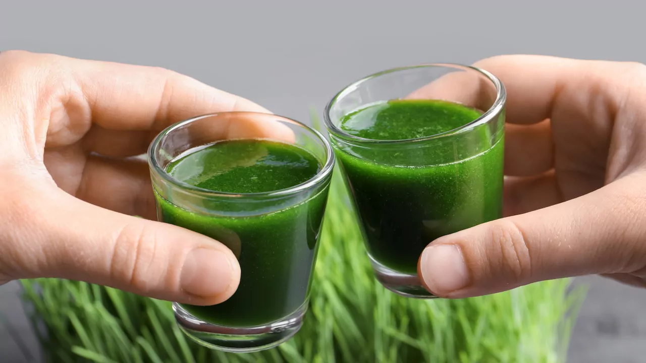 what is Wheatgrass juice