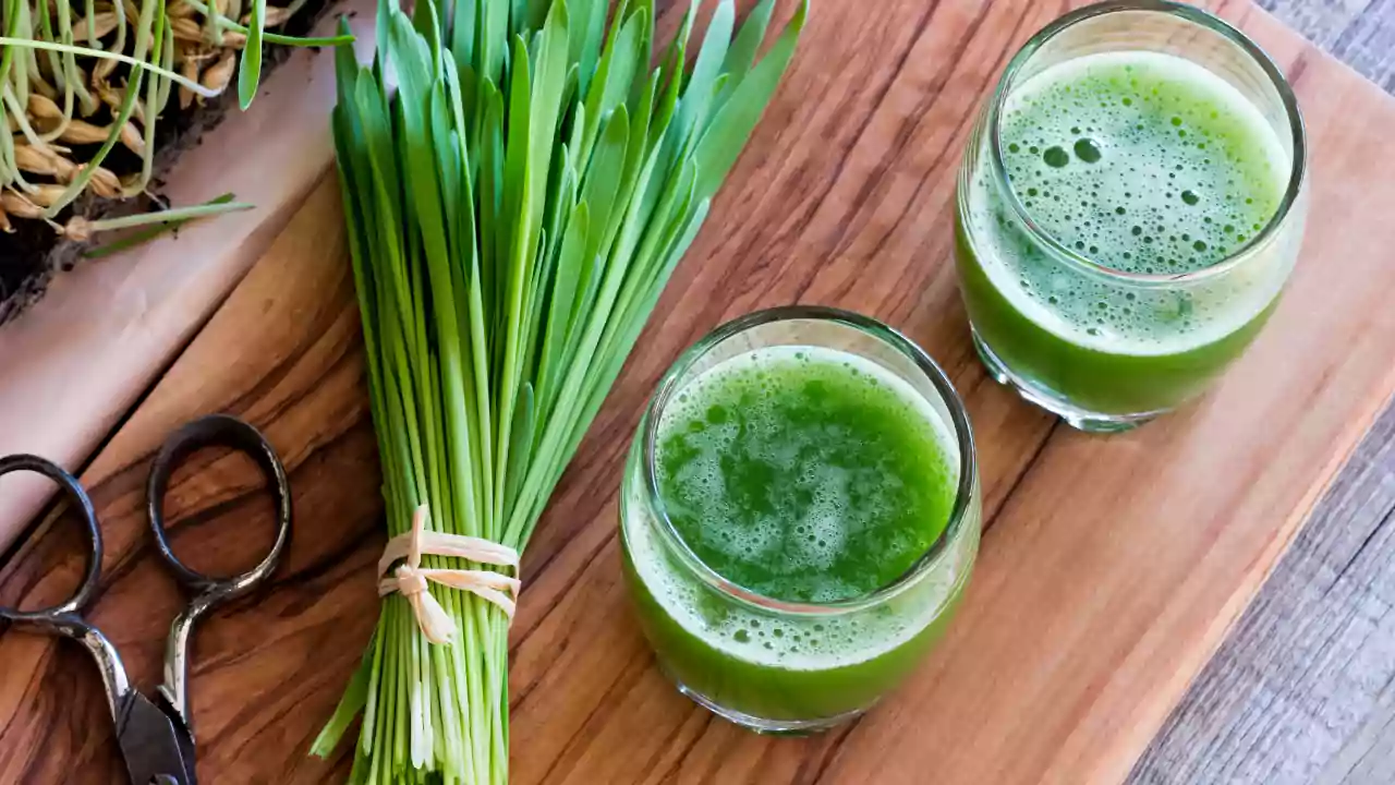 wheatgrass juice recipe