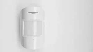 motion sensor light