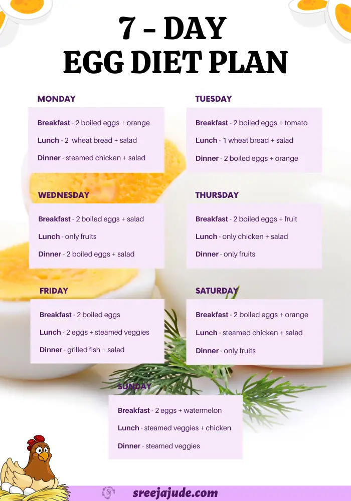 7 day egg diet plan infographic