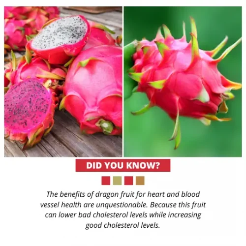 Nutrition Facts of Dragon Fruit
