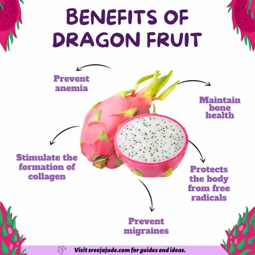 health benefits of dragon fruit