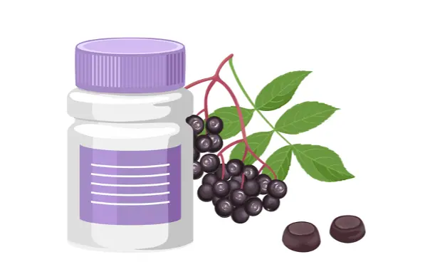 Elderberry Benefits and Most Effective Way to Take It