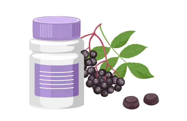 elderberry benefits