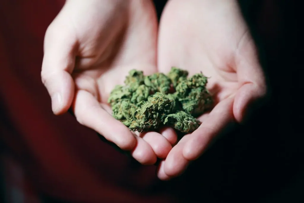 Medical Marijuana