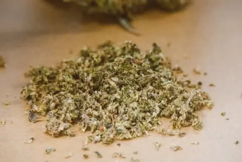 application for medical marijuanas