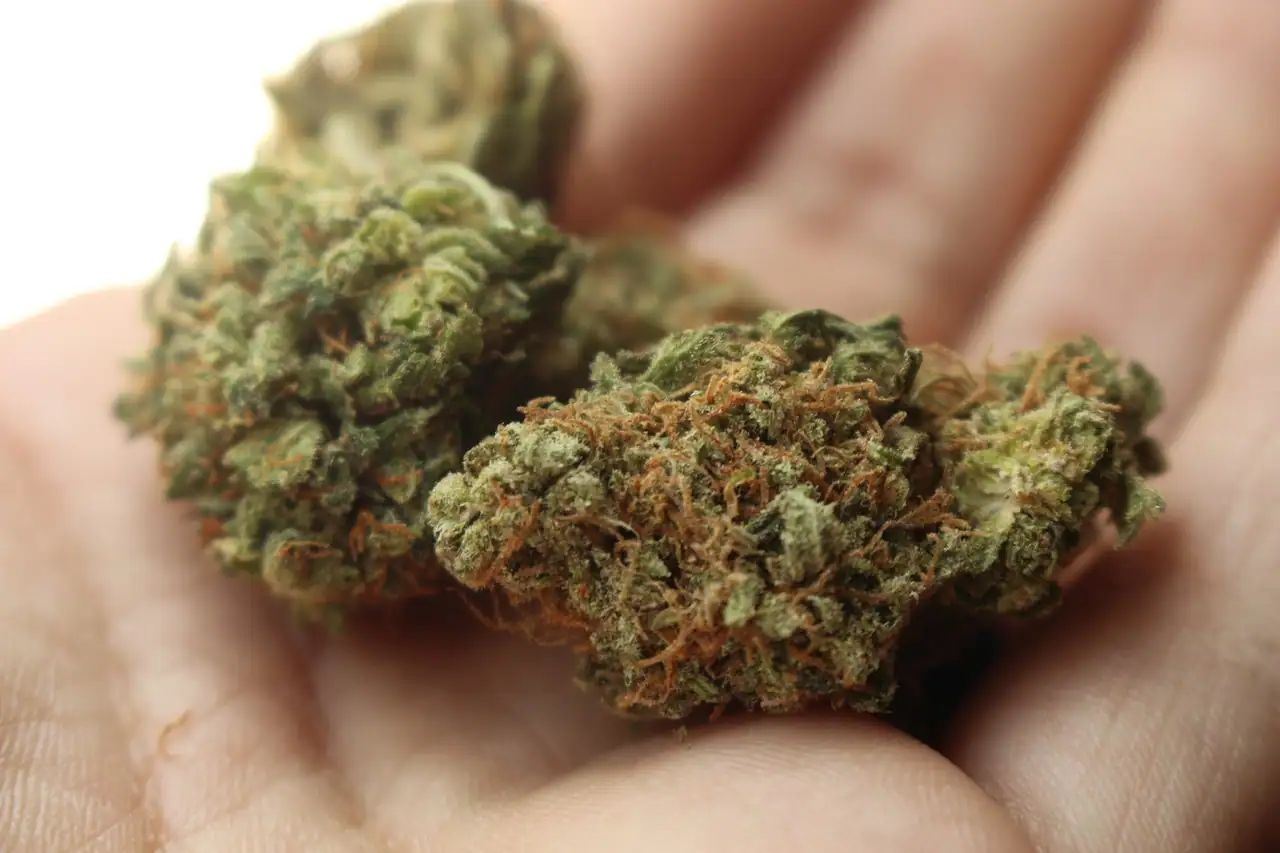 economic benefits of legalizing marijuanas