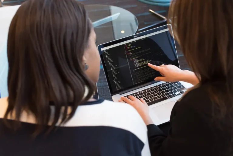 remote software developer