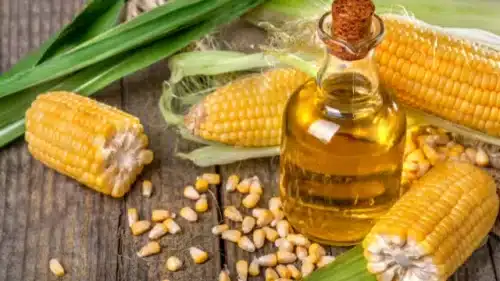 Industrial Vegetable Oils