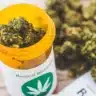 Medical Marijuana
