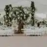 Extraordinary Wedding