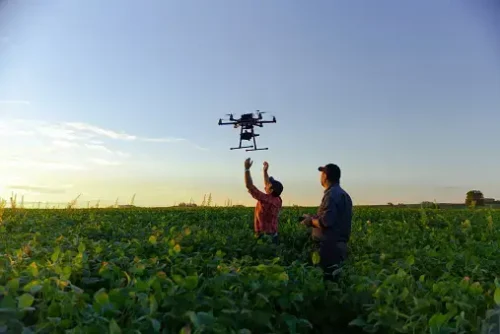 Helps With Seed Planting with drones technology
