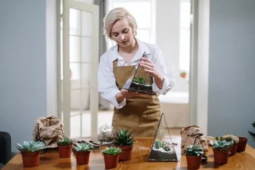 Woman planting herbs into pots in her living room