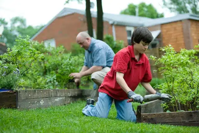 Grandfather and his grandson showing how to grow your own organic vegetables and herbs at home