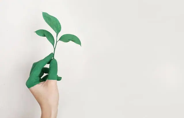 A hand painted green holding a green leaf